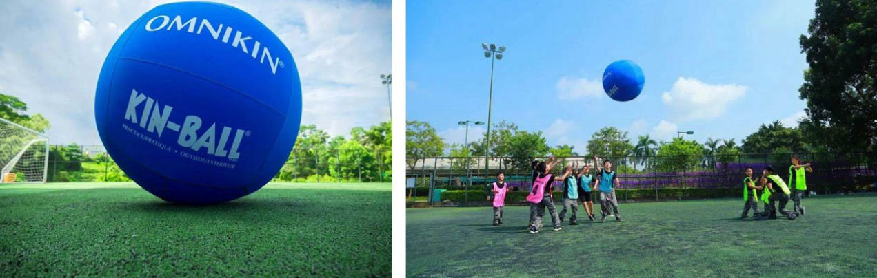 Sports Equipment Store 3 Sports Equipment Store -Sports Equipment Store SDFGSG