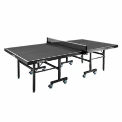 Table De Tennis De Table ACE 7
